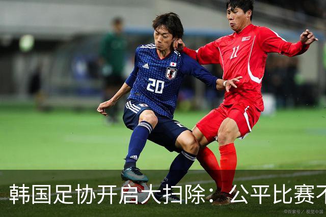 韩国足协开启大扫除：公平比赛不容打扰！